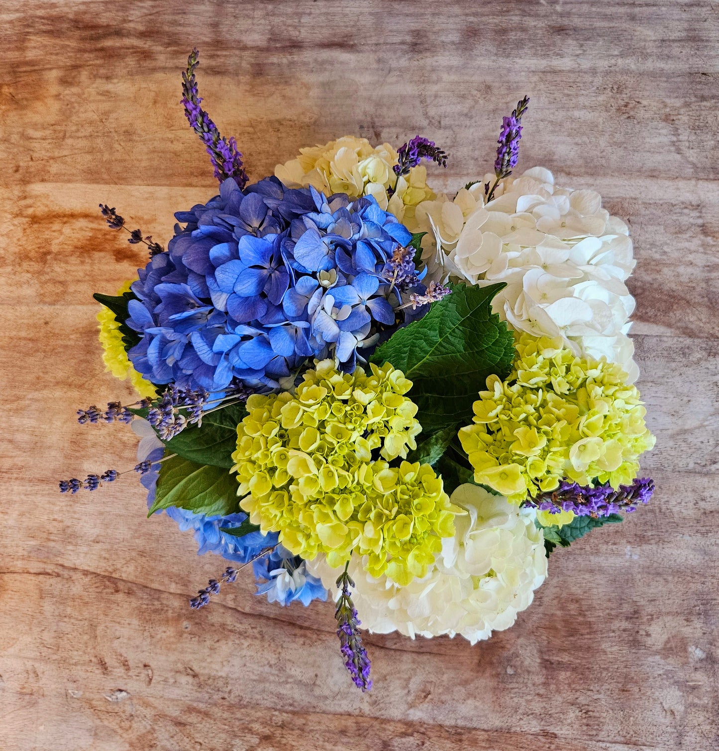 Blue, white and green hydrangea accented with lavender blossoms