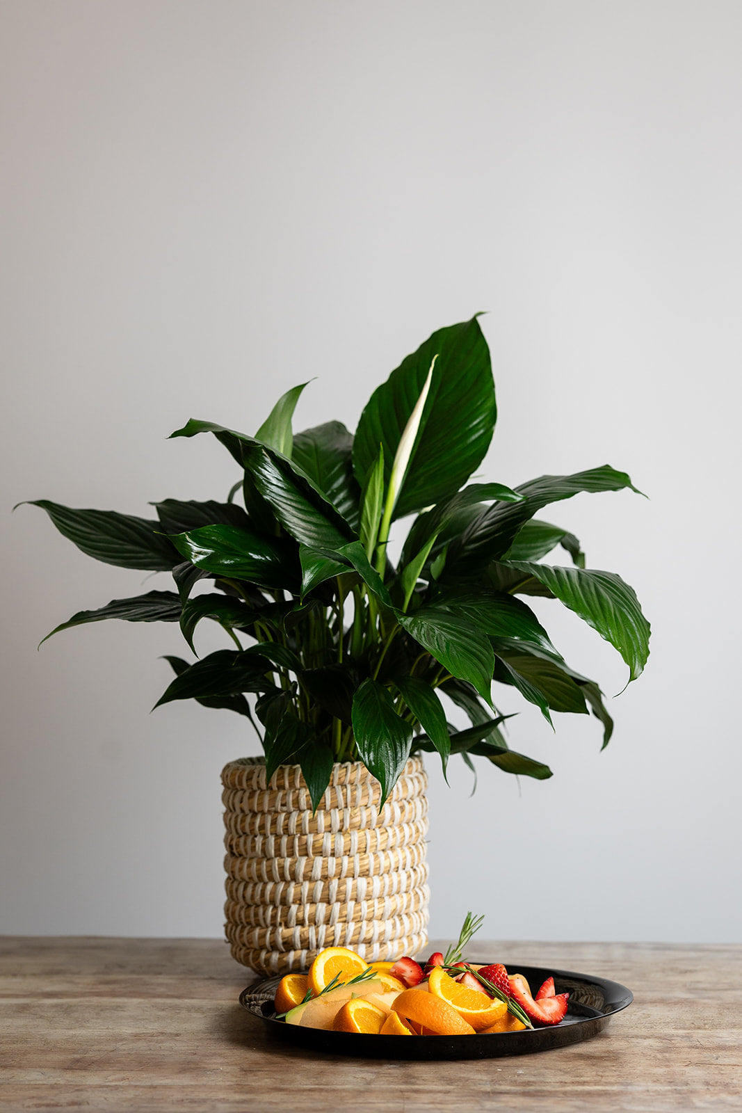 fresh peace lily plant Peace Lily & Fresh Fruit Delight – Green Valley Floral Design