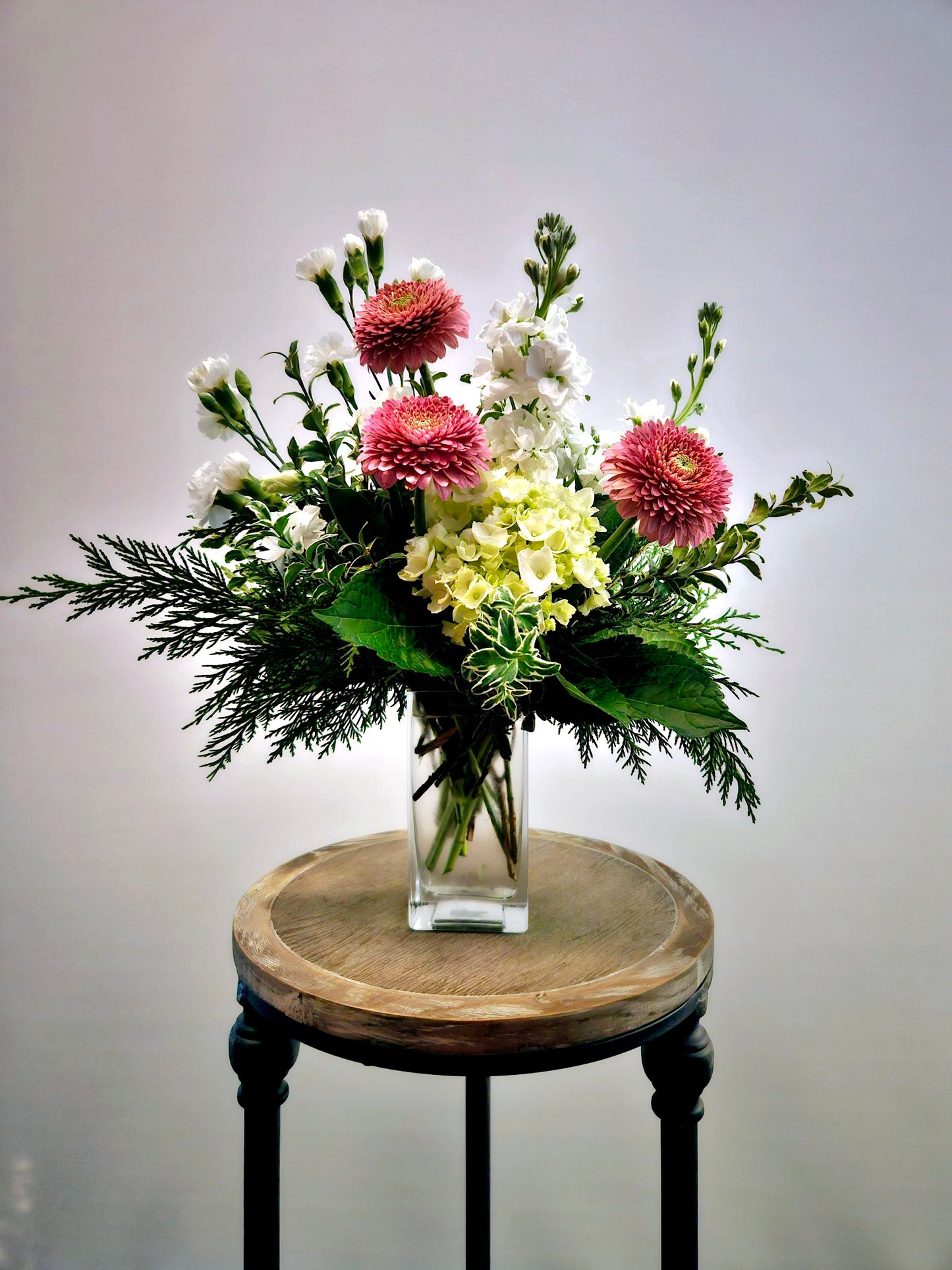 Blushing Winter Wind