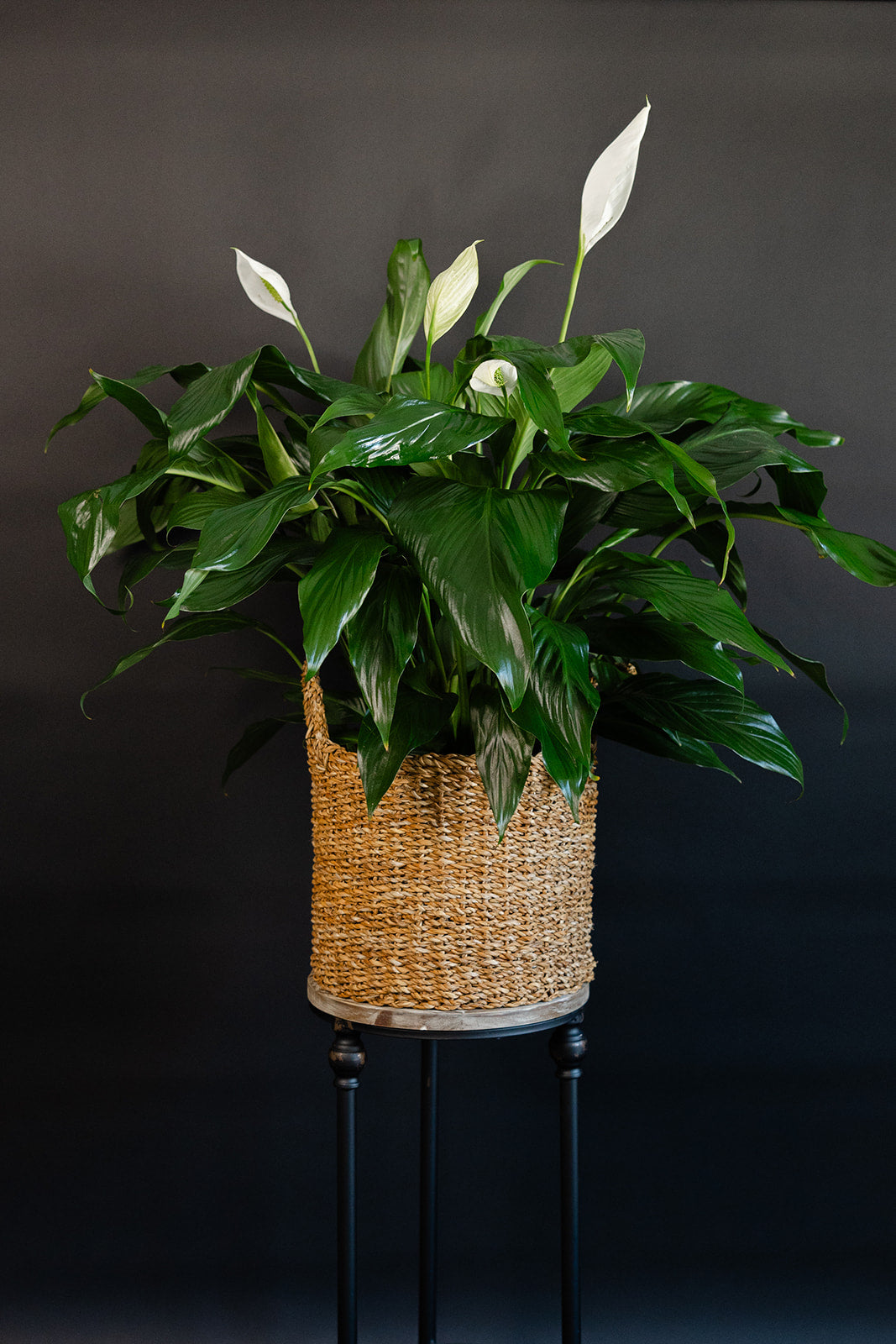 Heartfelt Peace Lily Basket