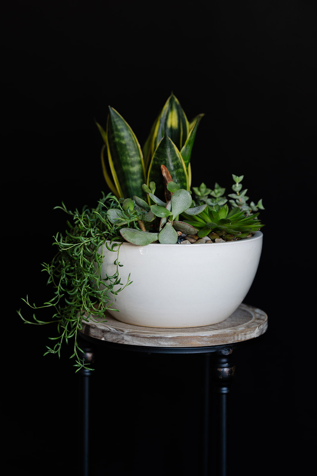 succulents for sympathy Succulent Planter Sympathy – Green Valley Floral Design