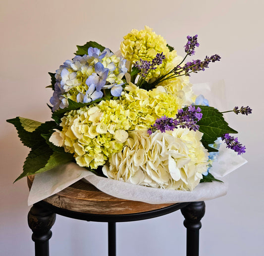 Coastal Calm Wrapped bouquet, hydrangeas and lavender