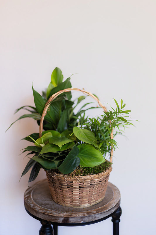 Sweet Serenity Planter