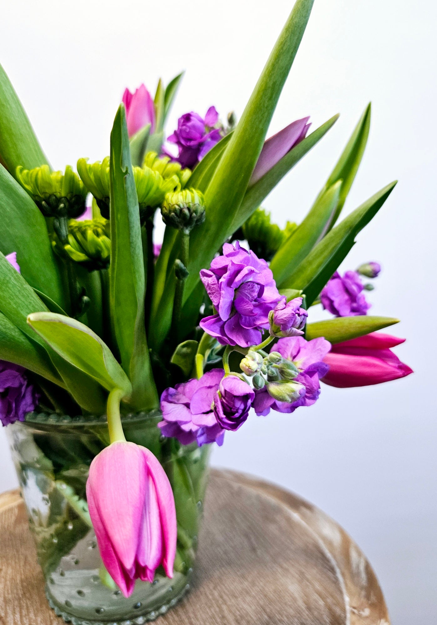 Tulips in Bloom Close Up