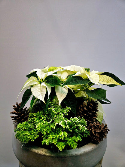 Winter Serenity Planter