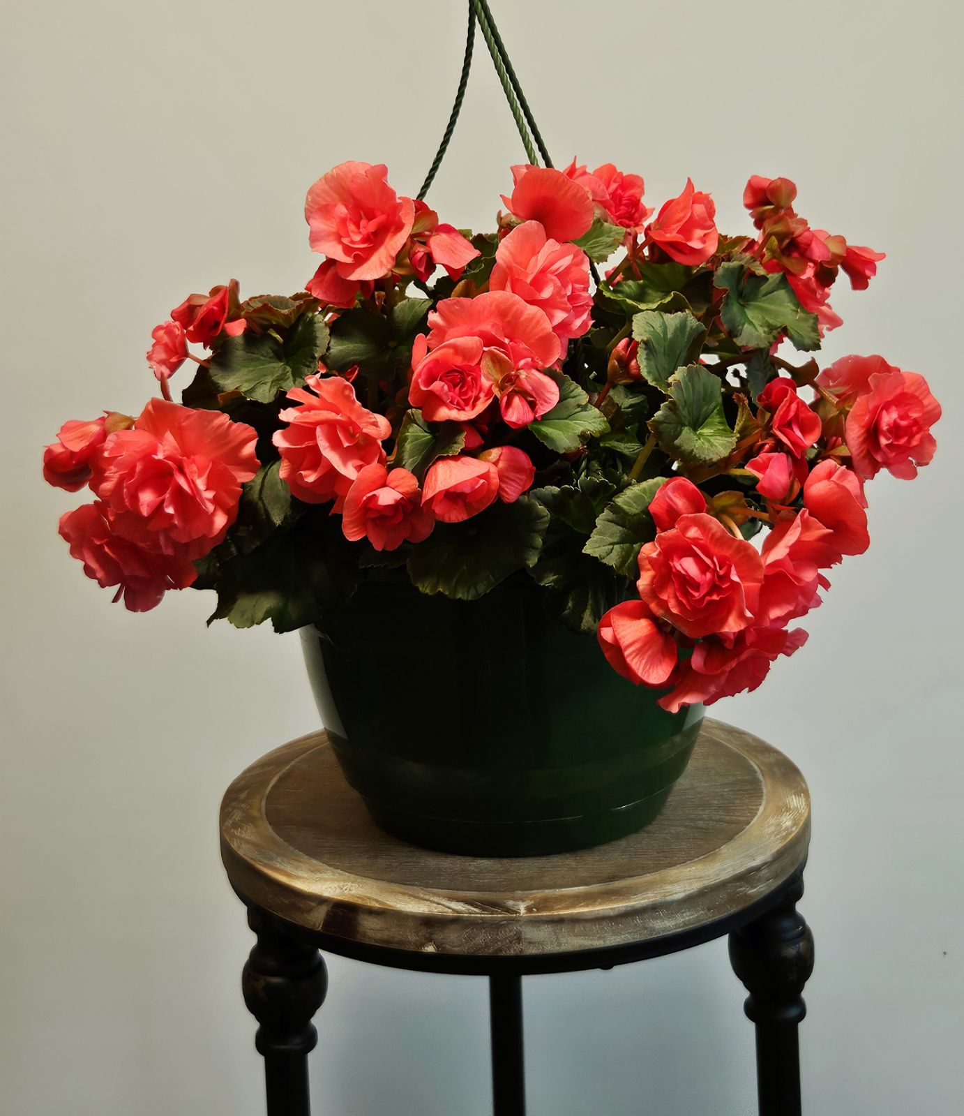 Blooming Bliss Gift Set